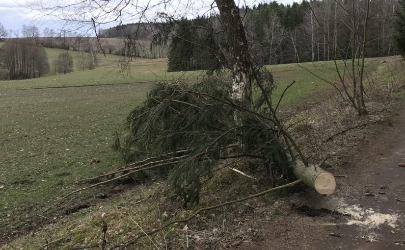 Einsatz 05/18 – TH klein – Sturmschaden